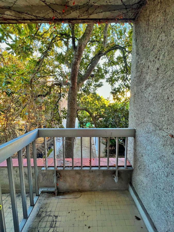 Le Pop Art - Jardin Des Plantes - Centre Apartment ตูลูส ภายนอก รูปภาพ